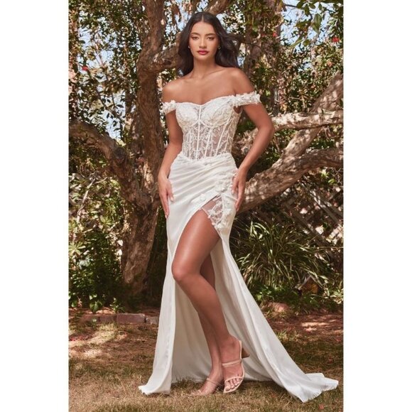 Cinderella Dresses & Skirts - Cinderella OFF THE SHOULDER LACE BODICE FITTED GOWN Multi Sizes CD0186W